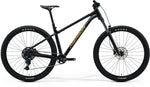 Merida Big Trail 300